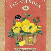 France Provence decorative dishtowels cotton Kitchen accessories