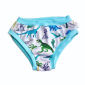 Dinosaur Adult Pants | Womens Knickers | Organic Cotton Underwear