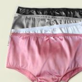 Pink Anna Satin Knickers Classics by Bonboneva - Women Satin Briefs, Full Coverage, Natural Waist Rise