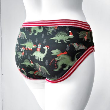 Christmas Dinosaur Adult Pants | Womens Knickers | Organic Cotton Underwear