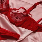Red embroidered lace lingerie set